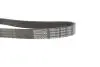 Ремінь генератора Skoda Octavia/VW Golf 1.6-2.0/1.9TDI 97-13/Passat B6/B7 1.8-2.0TSI/T5 1.9TDI 03-15 DAYCO 6PK1120S (фото 3)