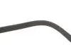Ремінь генератора Skoda Octavia/VW Golf 1.6-2.0/1.9TDI 97-13/Passat B6/B7 1.8-2.0TSI/T5 1.9TDI 03-15 DAYCO 6PK1120S (фото 4)