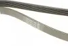 Ремень генератора Ford Granada/Fiat Bravo 1.9D/2.0 07- DAYCO 6PK1270 (фото 3)