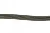 Ремінь генератора Citroen Berlingo/Jumpy/Peugeot Expert/Partner 1.6HDI DAYCO 6PK1355 (фото 2)