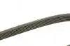 Ремень генератора Ford Scorpio 2.9 94-98/Opel Zafira 1.9 CDTI 05- DAYCO 6PK1381 (фото 2)