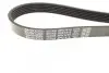 Ремень генератора Ford Connect 1.8TDCI DAYCO 6PK1415 (фото 3)