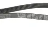Ремінь генератора Citroen Berlingo/Fiat Scudo 1.9D (1868) DAYCO 6PK1435 (фото 2)