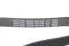 Ремінь генератора Opel Astra 1.7 CDTI 04-14 DAYCO 6PK1606 (фото 4)