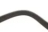 Ремінь генератора Renault Megane I/Ford Transit 2.0 94-00 DAYCO 6PK1650 (фото 3)