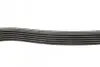 Ремінь генератора Citroen Jumper 1.9TD 94-02 (ALT,PS,AC) DAYCO 6PK1705 (фото 2)