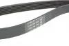 Ремінь генератора Citroen Jumper 1.9TD 94-02 (ALT,PS,AC) DAYCO 6PK1705 (фото 3)
