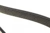Ремень генератора VW LT 2.5TDI 96-01/Peugeot Expert 1.9D/2.0HDI 98- DAYCO 6PK1750 (фото 4)