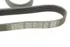 Ремінь генератора VW LT 2.5TDI 96-01/Peugeot Expert 1.9D/2.0HDI 98- DAYCO 6PK1755 (фото 4)