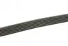Ремінь генератора MB C-class (W202) 2.0 95-01 DAYCO 6PK1865 (фото 2)