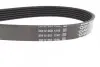 Ремінь генератора Jeep Wrangler 4.0 i 98-07 DAYCO 6PK1910 (фото 2)
