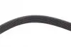 Ремінь генератора Jeep Wrangler 4.0 i 98-07 DAYCO 6PK1910 (фото 4)