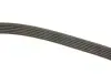 Ремень генератора VW Crafter 2.5TDI (-AC) /MB OM601/602 (+PS) DAYCO 6PK2000 (фото 3)