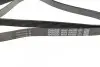 Ремень генератора MB Sprinter CDI (-AC) DAYCO 6PK2203 (фото 2)