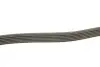 Ремень генератора MB Sprinter CDI (-AC) (с обводным роликом) DAYCO 6PK2255 (фото 3)