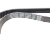 Ремень генератора Citroen Berlingo/VW Golf III 1.4-2.0i 91- DAYCO 6PK975 (фото 3)
