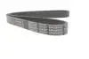 Ремінь генератора VW Polo/Up 11-/Skoda Fabia 14-/Seat Ibiza 1.0/1.6 15- (6PK989) DAYCO 6PK989EE (фото 3)