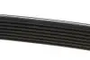 Ремень генератора Renault Kangoo/Megane III/Scenic III 1.2TCe 12- DAYCO 7PK1569 (фото 3)