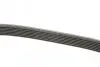 Ремень генератора BMW 7 4.0/4.5 d 02-08/Honda Accord 2.0 03-08 DAYCO 7PK1759 (фото 3)