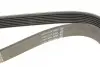 Ремень генератора BMW 7 4.0/4.5 d 02-08/Honda Accord 2.0 03-08 DAYCO 7PK1759 (фото 4)