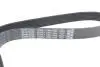 Ремень генератора Renault Megane/Scenic 1.4 09-/Honda Accord/CR-V 2.2 i-CTDi 04- DAYCO 7PK1784 (фото 3)