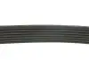 Ремень генератора Ford Transit 2.0/2.4 DI/TDCI/TDE 00-06 DAYCO 7PK2872 (фото 3)