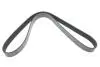 Ремінь генератора MB SLR (R199) 04- M155 (8PK1240) DAYCO 8PK1240HD (фото 1)