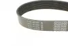 Ремень генератора Mazda CX-7 2.2MZR-CD AWD 09-13 DAYCO 8PK1295 (фото 3)