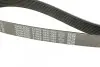 Ремень генератора Mazda CX-7 2.2MZR-CD AWD 09-13 DAYCO 8PK1295 (фото 4)