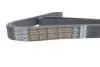 Ремінь генератора MB Vario/Atego 2/LK/LN 2 96- OM 904 (8PK1795) DAYCO 8PK1795HD (фото 4)