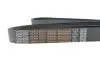 Ремінь генератора MB Vario 4.2/4.3 OM904 96-13 (+AC) (8PK2085) DAYCO 8PK2085HD (фото 4)
