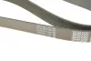Ремінь генератора поліклиновий DAYCO 8PK2190 (фото 5)