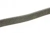 Ремень генератора MB S-class (W140) 91-98 DAYCO 8PK2465 (фото 2)