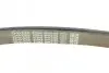 Ремень генератора MB S-class (W140) 91-98 DAYCO 8PK2465 (фото 4)
