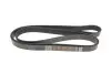 Ремінь генератора VW LT 28-35 2.5 SDI 96-06 (8PK2482) DAYCO 8PK2482HD (фото 4)