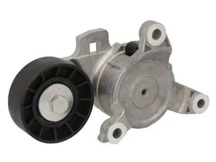 Натяжник ремня генератора Citroen Jumpy/Peugeot Expert 2.0i 16V 00- DAYCO APV2712