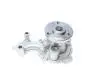 Комплект ГРМ + насос Ford Focus III/Fiesta VI/VII/Transit Courier 1.0-1.1 12- DAYCO KBIOWP020 (фото 8)