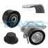 Комплект поликлинового ремня с натяжителем OPEL MOVANO B; RENAULT MASTER III 2.3D 02.10- KPV258