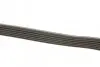 Комплект ременя генератора Ford Galaxy 2.0D 06-15 DAYCO KPV504 (фото 2)