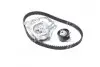 Комплект ГРМ + помпа Renault Clio/Kangoo 1.2 16V 01-/Dacia Logan/Sandero 1.2 06- (23.4x95) DAYCO KTBWP3211 (фото 3)
