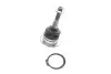 Опора кульова (передня) Land Rover Discovery III/IV/Range Rover 04-18 Delphi TC2425 (фото 1)