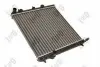 Радіатор охолодження двигуна C2/C3 1.1i/1.4i 02- DEPO 038-017-0006 (фото 3)