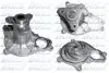 Насос Водяний DOLZ B255 (фото 1)