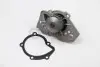 Водяний насос Expert/Peugeot 205/305/309/405 1.6/1.9 DOLZ T136 (фото 2)