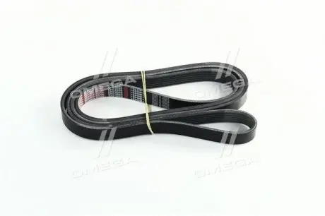 Ремінь поліклиновий Dongil 6PK2050