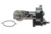 Насос вакуумний Ford Connect 1.8TDCi 02- DP Group BS 9310.1 (фото 1)
