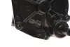 Помпа вакуумна Ford Connect 1.8TDCi 02- DP Group BS 9310.1 PEK (фото 2)