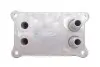 Радиатор масляный Ford Transit 2.0TDCI 00- (теплообменник) DP Group ES 2166 (фото 4)