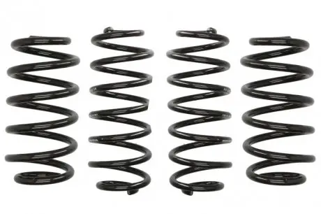 Комплект пружин Audi A4 (B8) 1.8TFSI/2.0TDI/TFSI 07-15 (4 шт.) EIBACH E10-15-011-01-22