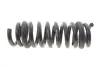 Комплект пружин (Pro-Kit) BMW Z4 (G29) 18- (4 шт.) EIBACH E10-20-046-01-22 (фото 4)
